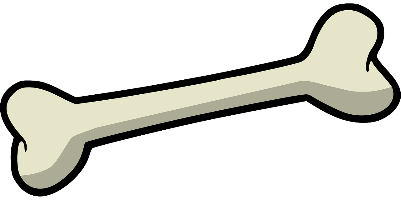bone, dog, skeleton-157272.jpg